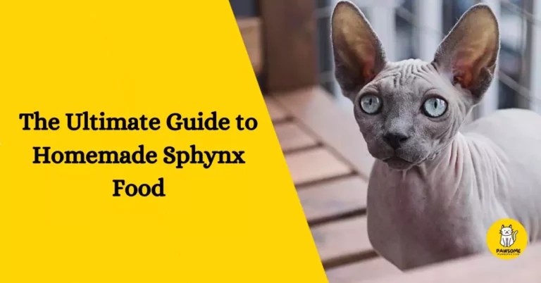 The Ultimate Guide to Homemade Sphynx Food