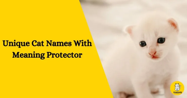 Unique Cat Names With Meaning Protector – The Ultimate List